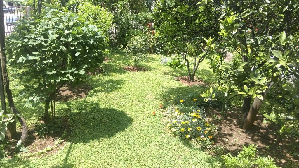 Apartment Ruzica Krstic Herceg Novi Zewnętrze zdjęcie