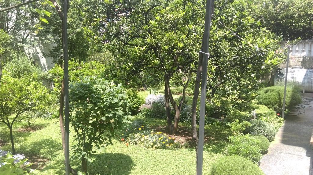 Apartment Ruzica Krstic Herceg Novi Zewnętrze zdjęcie
